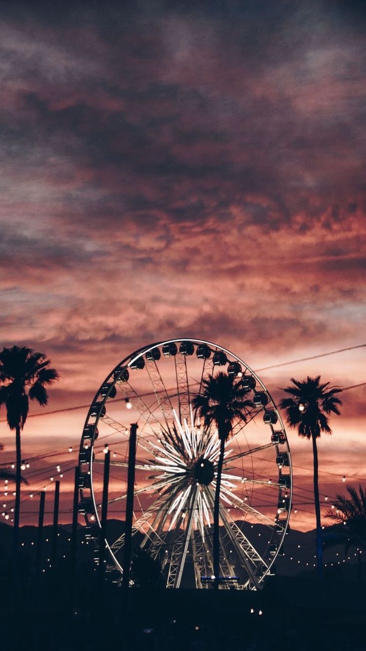 a ferris wheel sitting in the middle of a field with palm trees and a sunset behind it