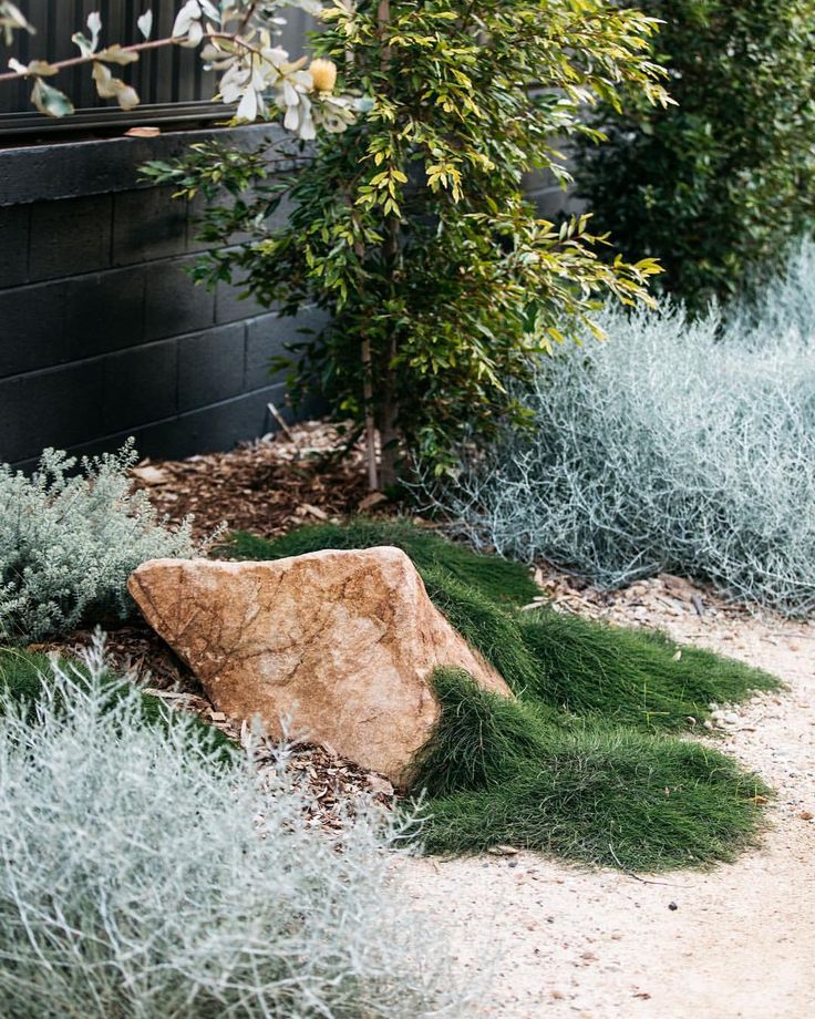 a rock sitting in the middle of a garden filled with green grass and bushes next to a black building