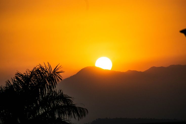 the sun is setting over mountains with trees in front of it and birds flying by