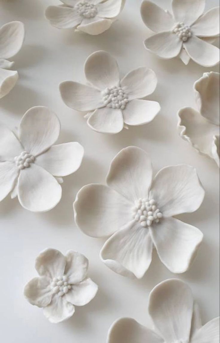 some white flowers are laying on the table together and ready to be cut into pieces