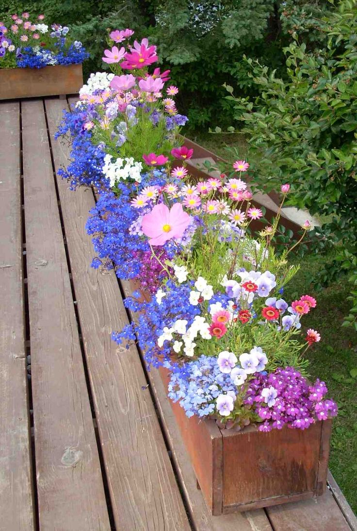 a wooden deck with flower boxes on it