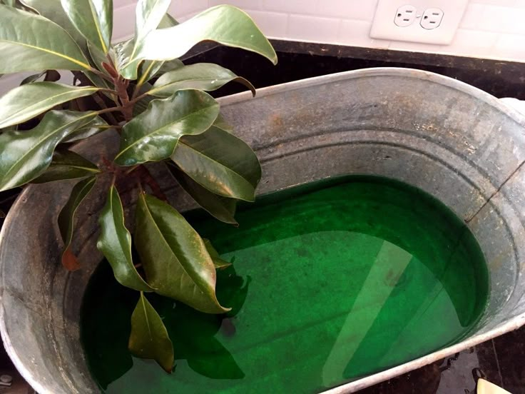 a potted plant sitting inside of a metal container filled with green liquid