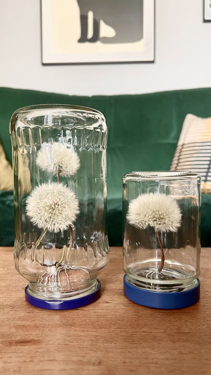 two glass vases with dandelions in them sitting on a table next to each other