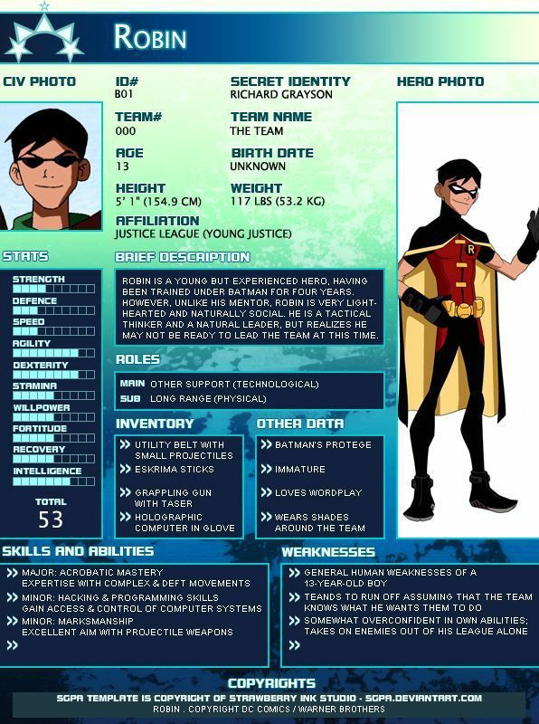 an info sheet for robin from batman the animated movie, which is being used as a website