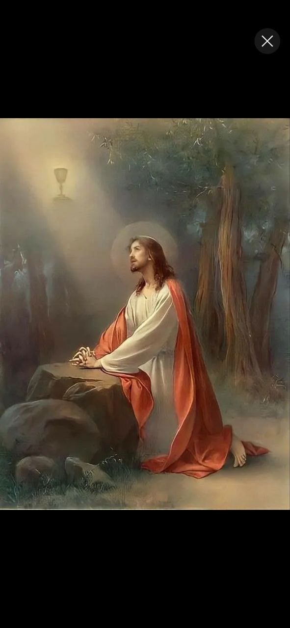 a painting of jesus sitting on a rock in the middle of a forest with light coming from behind him