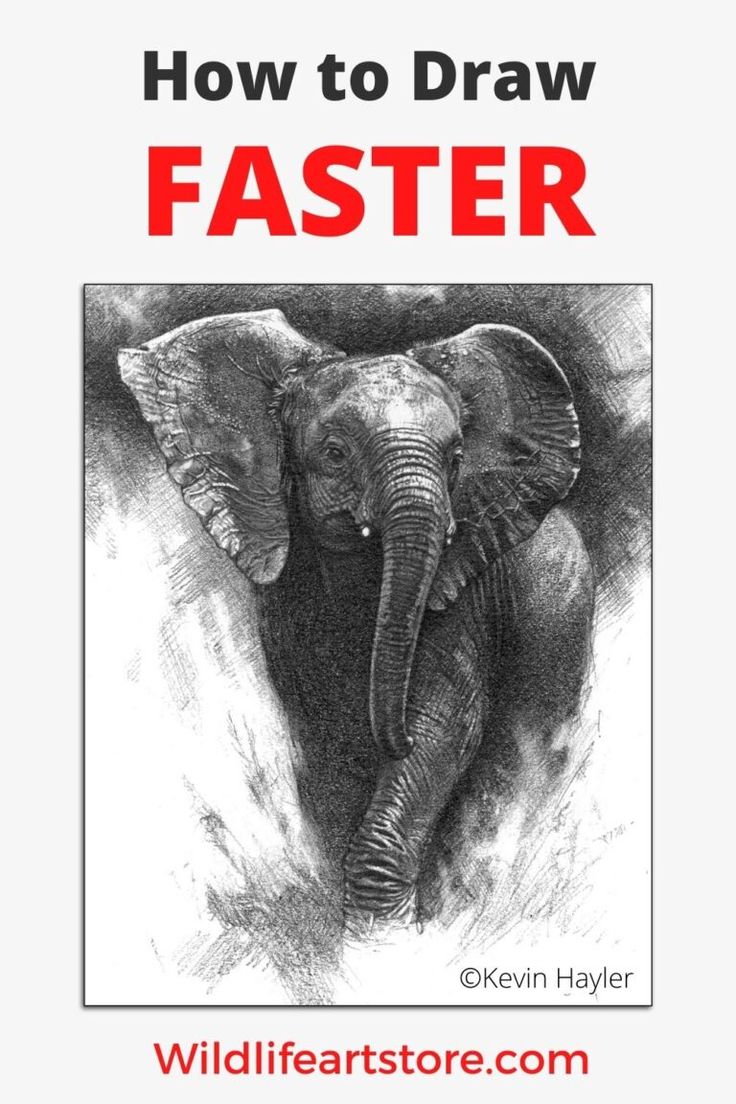 How to Draw Faster: 14 Expert Tips For Sketching at Speed How To Draw Faster, Ink Sketches Sketchbooks, 3d Drawing Techniques, Sketching Reference, Drawing Basics, Elephant Sketch, Improve Drawings, Fast Drawing, Beginner Sketches