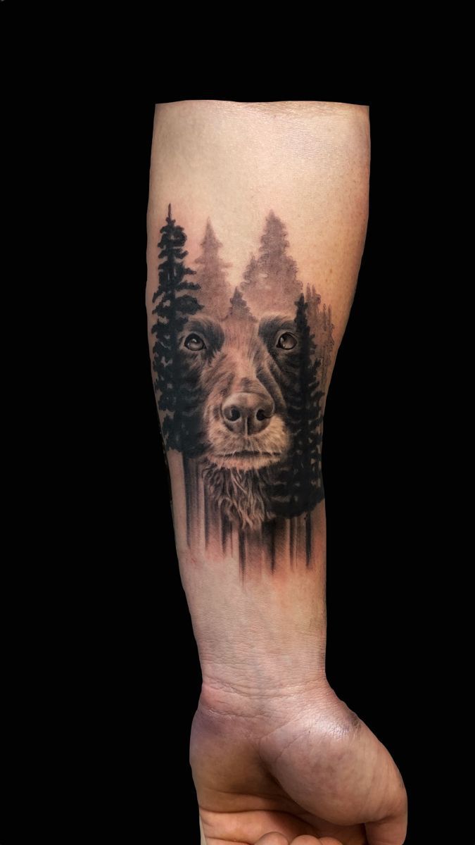 a dog's face is shown on the arm with trees in the foreground