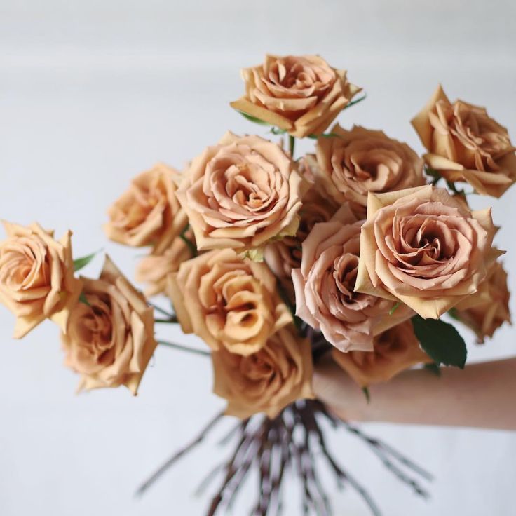 a bouquet of peach colored roses in someone's hand on a white wall background