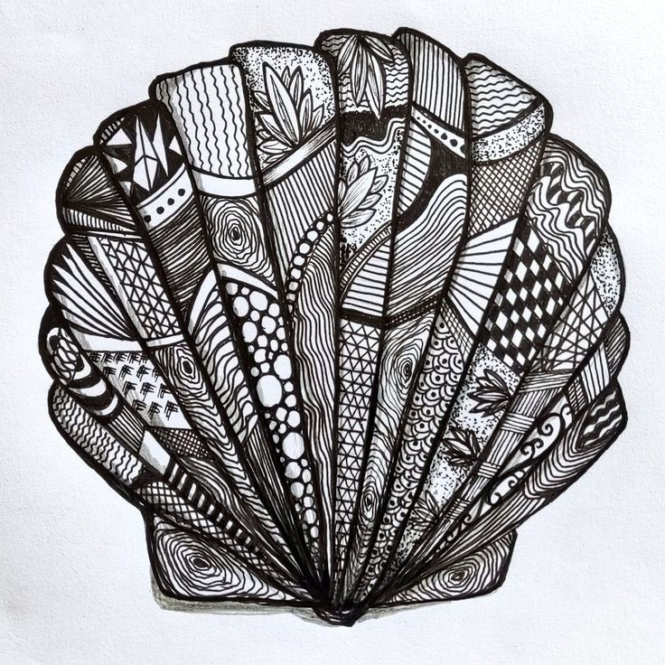 an ink drawing of a scallop shell with fish and waves on the inside