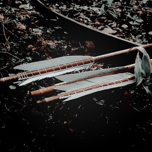 two canoes are sitting on the ground near some leaves and twigs in the woods