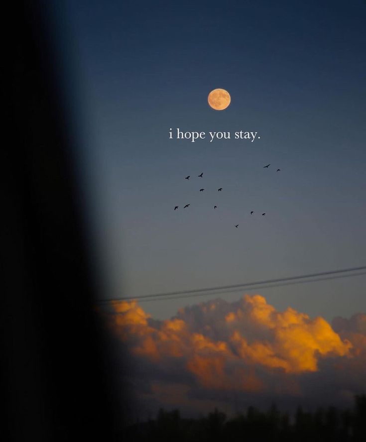 birds flying in the sky at dusk with a quote above them that reads i hope you stay