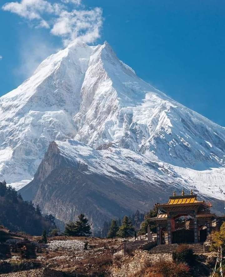 a large snow covered mountain towering over a small building in the foreground with trees and shrubs around it