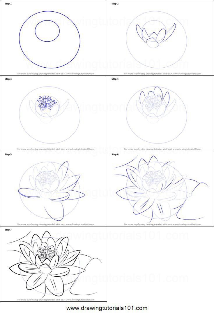 how to draw water lilies step by step instructions for kids and beginners with pictures