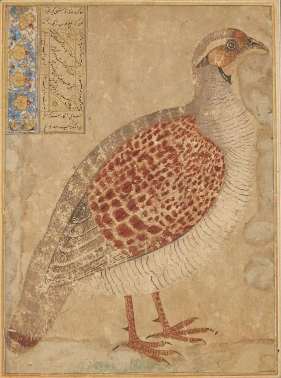 an old painting with a bird on it's body and some writing in the background