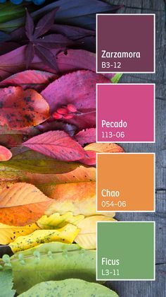 the colors of autumn are shown in this color palette, including red, orange, yellow and green