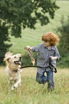 a boy and his dog are running through the grass