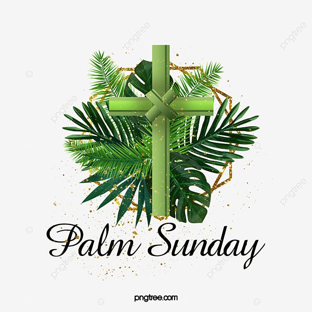 palm sunday cross with green leaves on transparent background