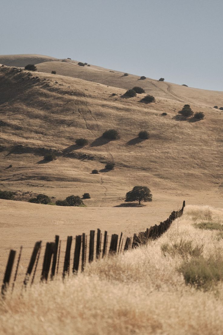 a lone giraffe standing on the side of a dry grass covered hill next to a wooden fence