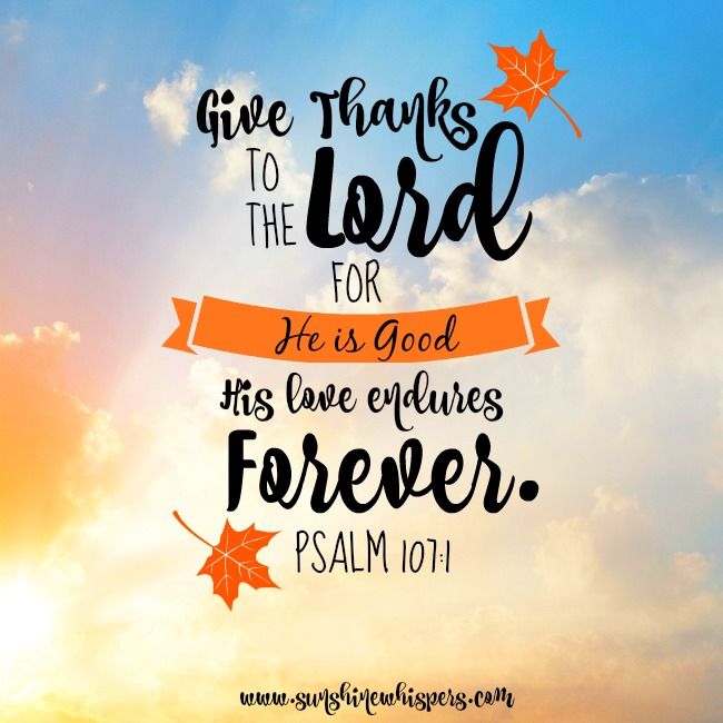 the words give thanks to the lord for his love