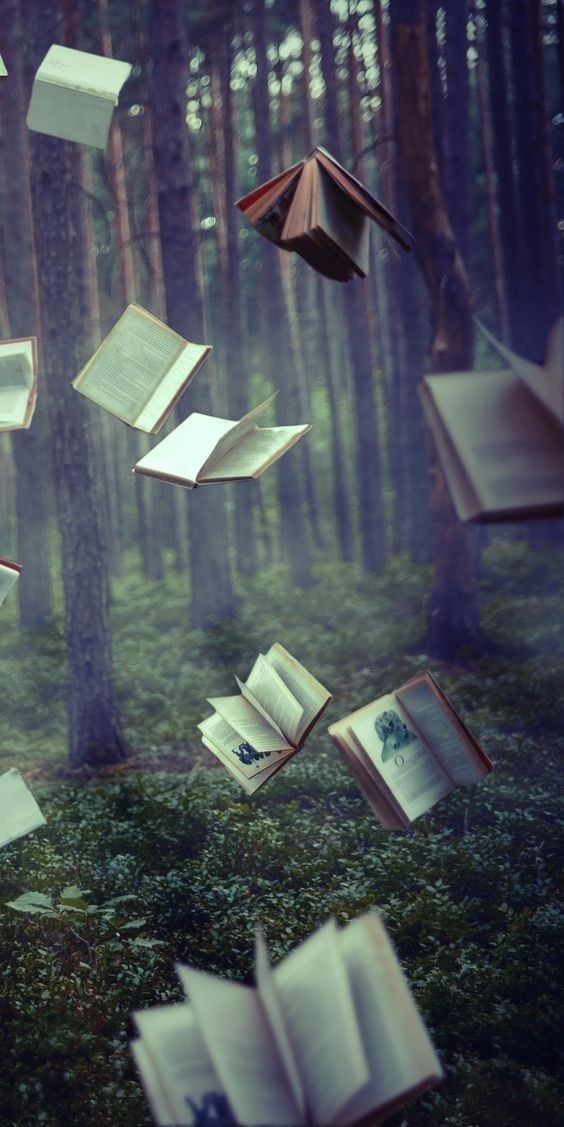 an open book flying through the air in front of a forest filled with trees and grass