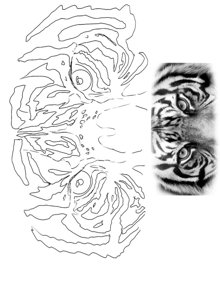 a tiger's face is shown in black and white, as well as an image of