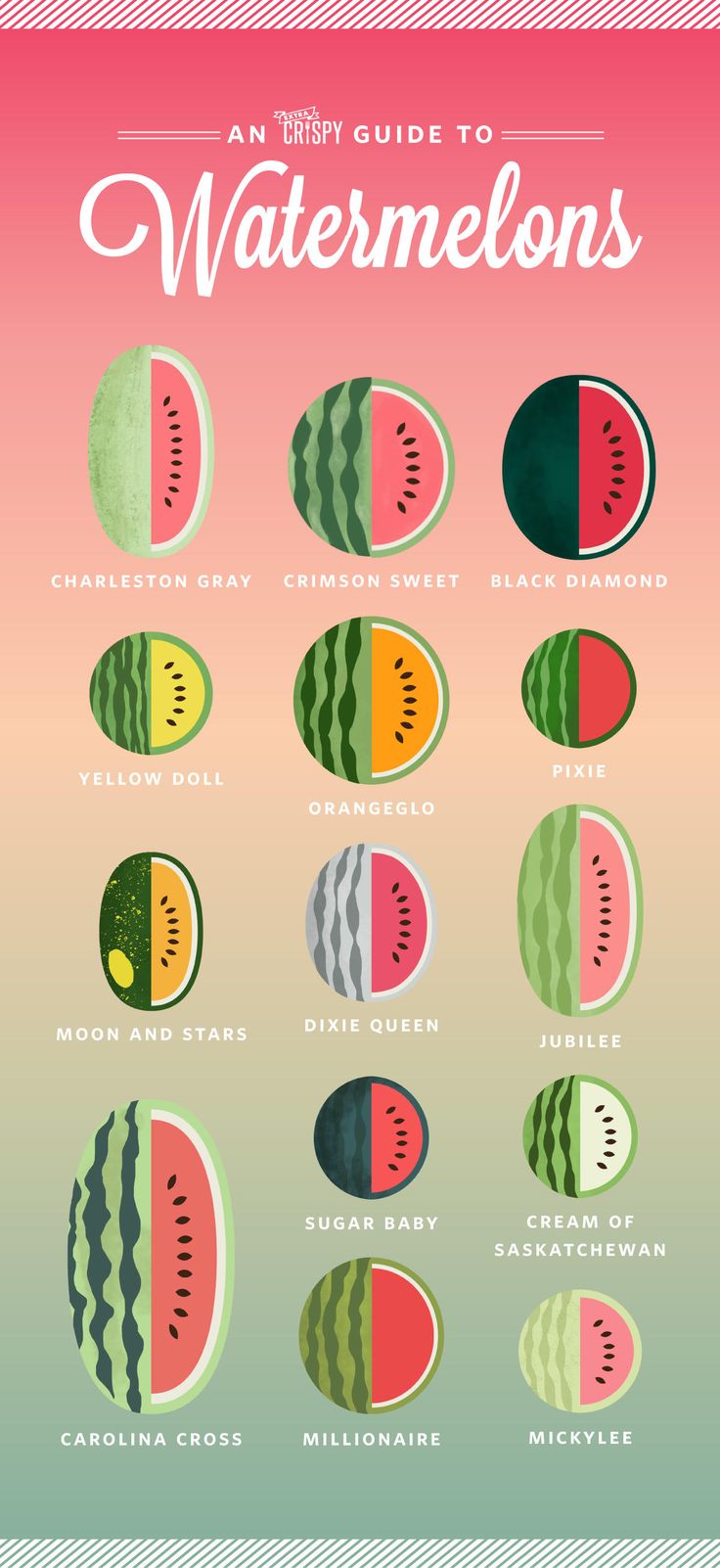 an illustrated guide to watermelon's in different colors and sizes, with the names