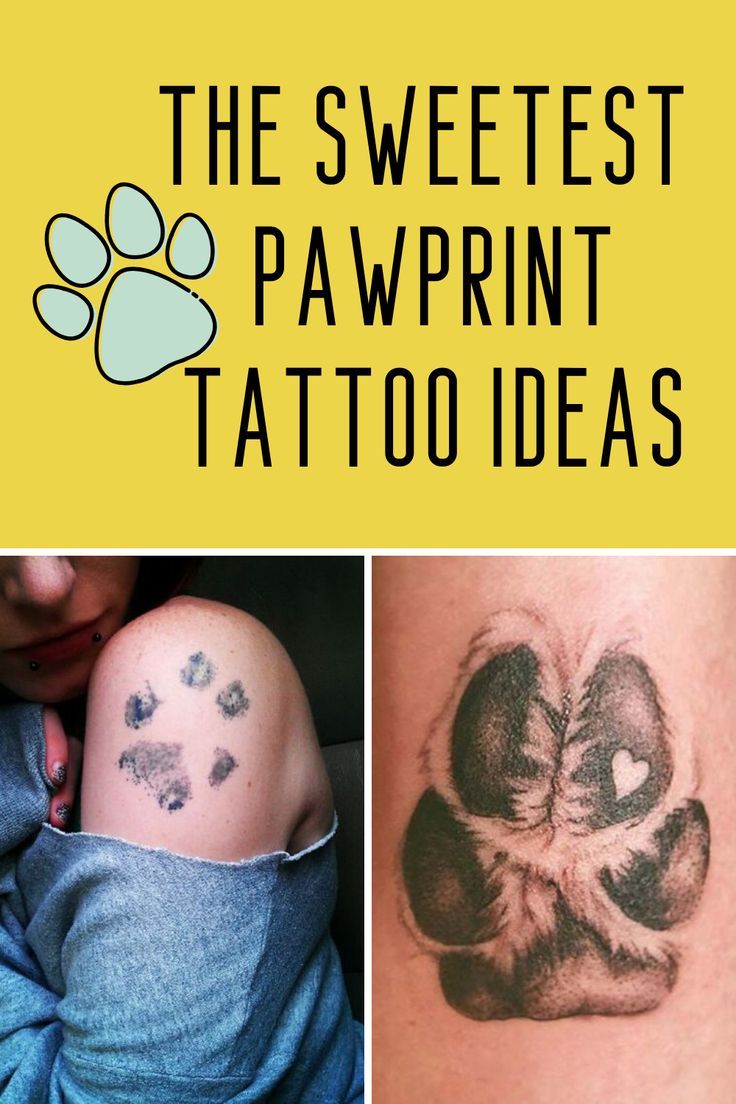 the sweetest pawprint tattoo ideas for dogs and cats are on display in this collage