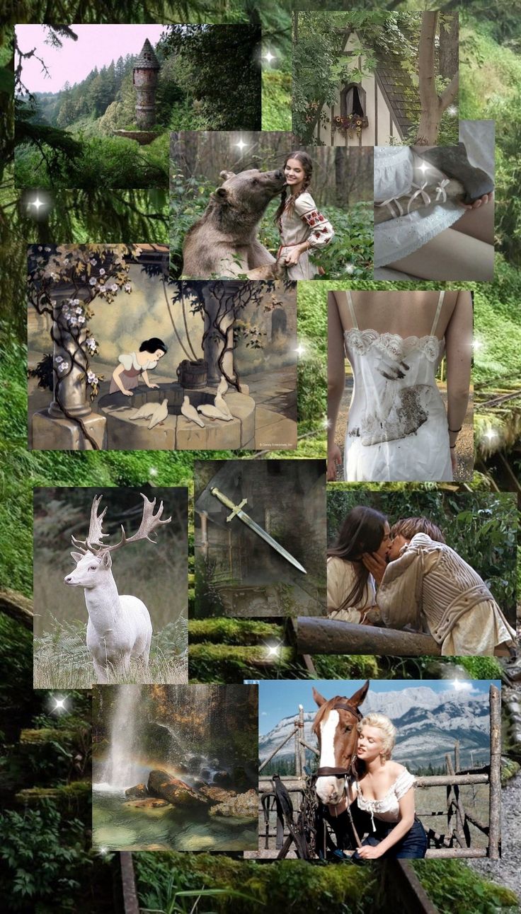 a collage of photos with animals and people in the woods, including deers