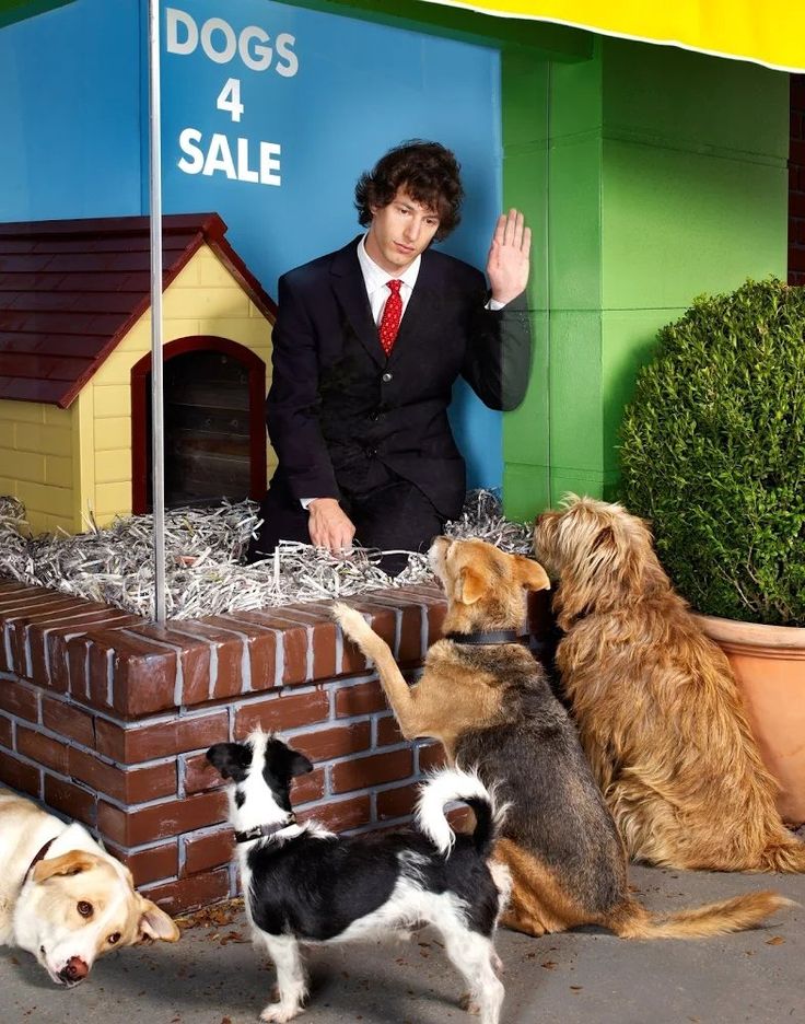 a man in a suit and four dogs are standing near a fake dog house with hay on the ground