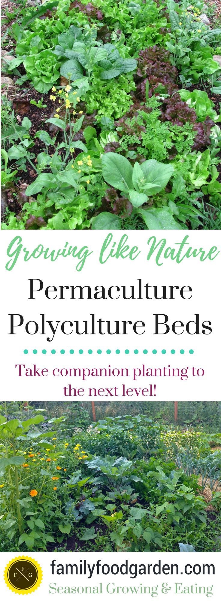 an image of a garden with plants growing in it and the title, growing life natural permaculture polyculturere beds take companion planting to the next level