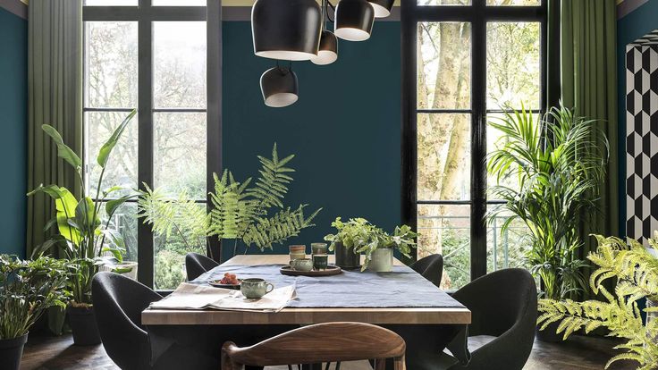 a dining room with blue walls and green plants in the corner, along with black chairs