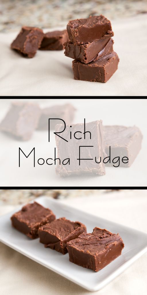 rich mocha fudge on a white plate with the words rich mocha fudge above it