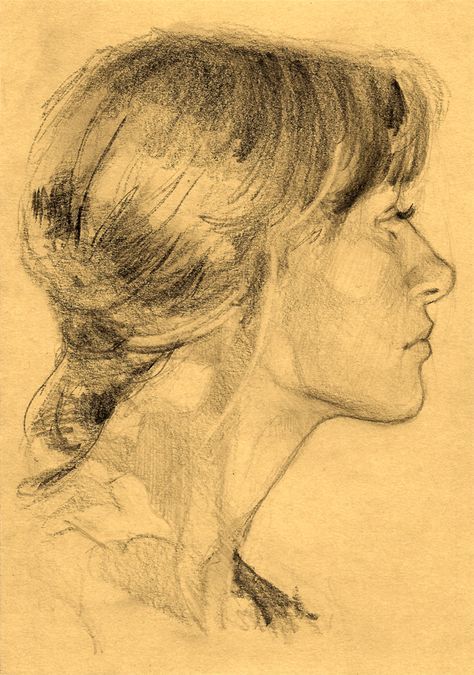 a pencil drawing of a woman's profile with her hair in a bunt