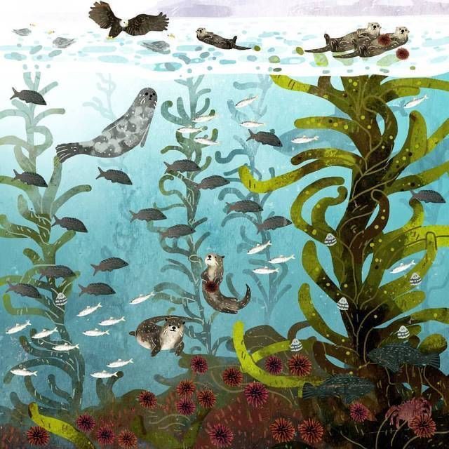 an underwater scene with sea animals and plants