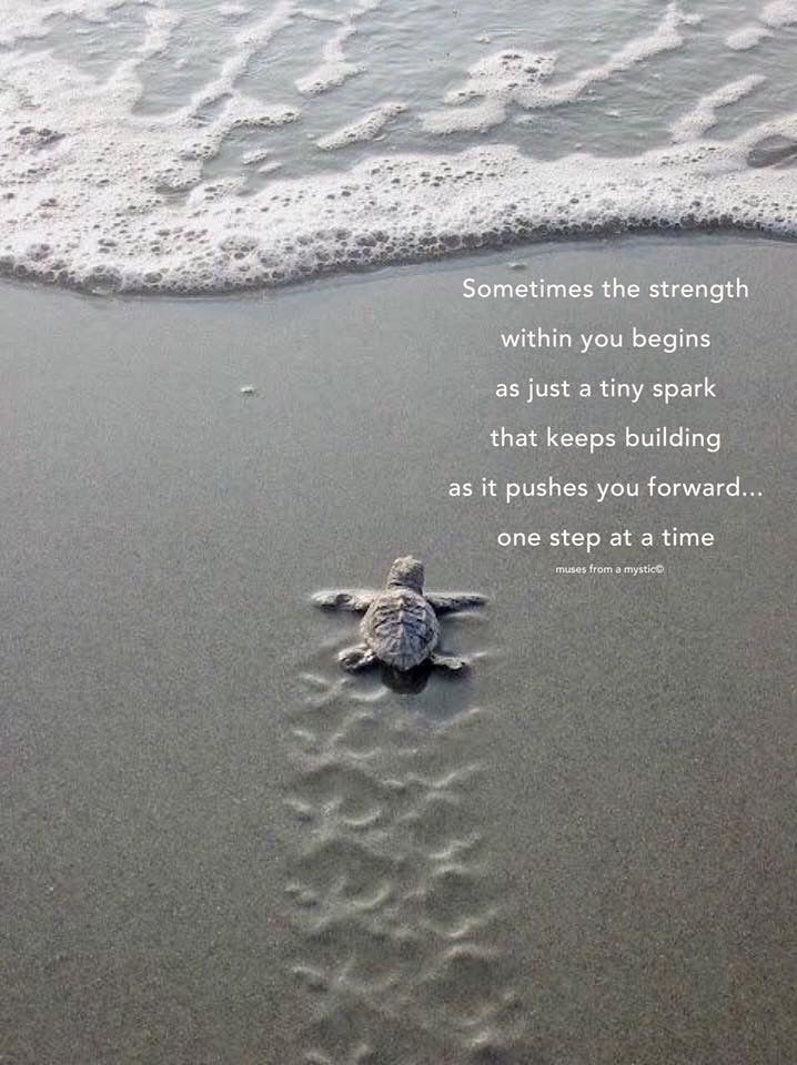 a sea turtle on the beach with a quote