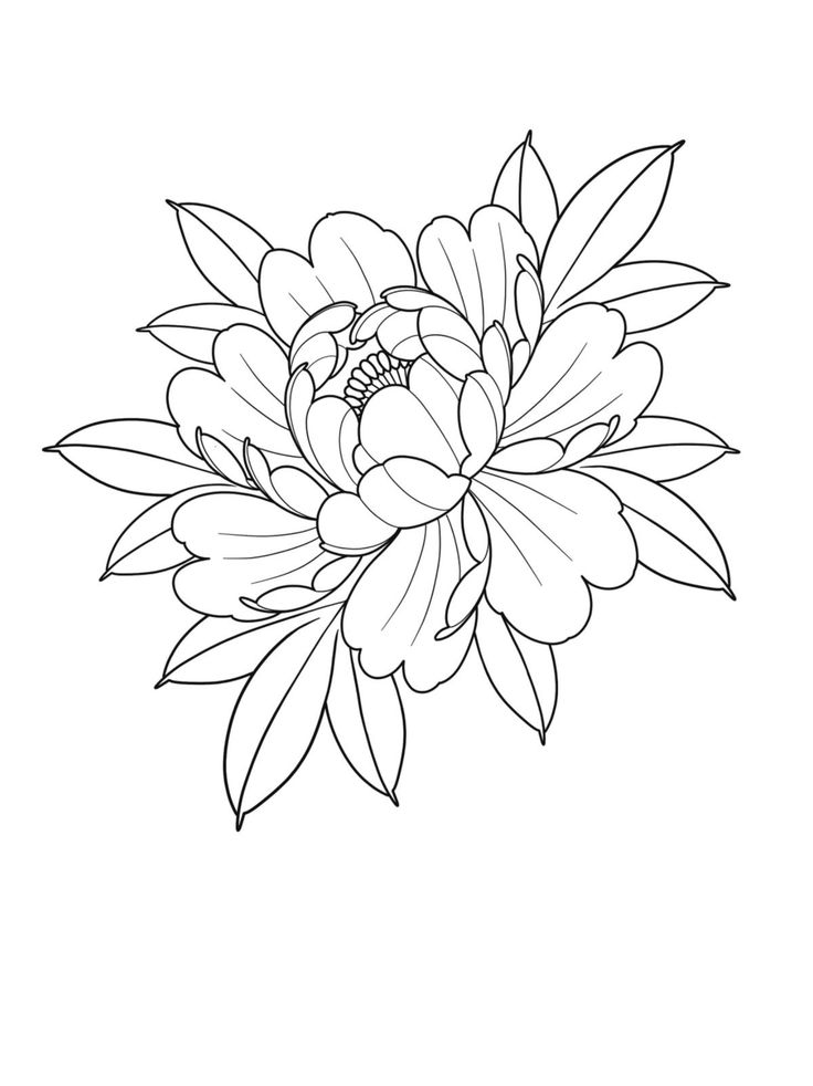 a black and white drawing of a flower with leaves on the petals, in an outline style