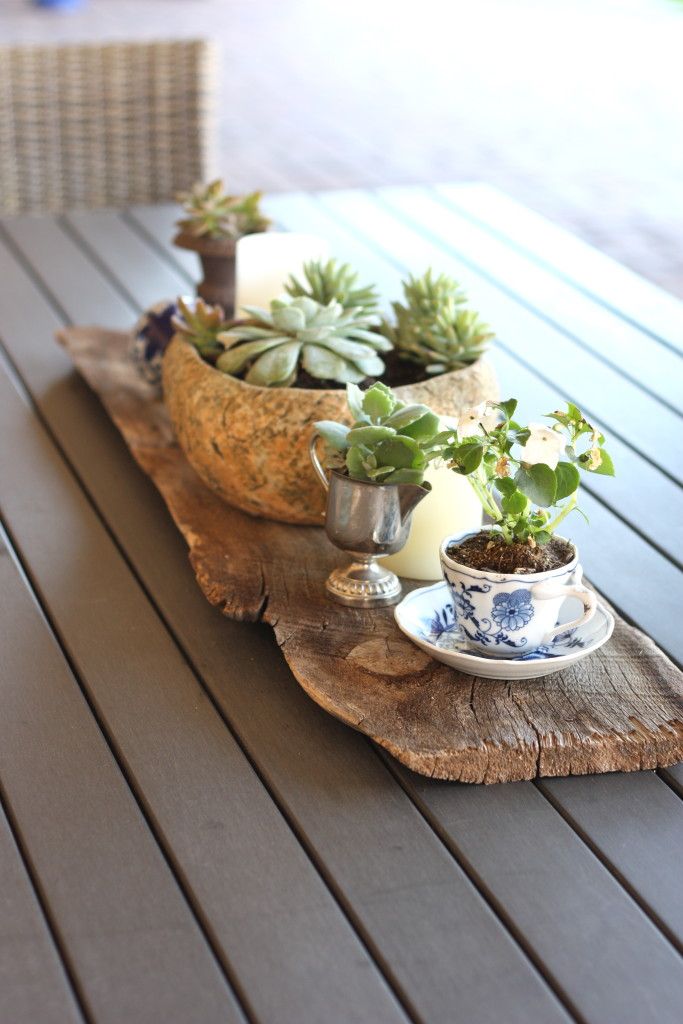 a wooden table topped with potted plants on top of a wooden slab next to a cup and saucer