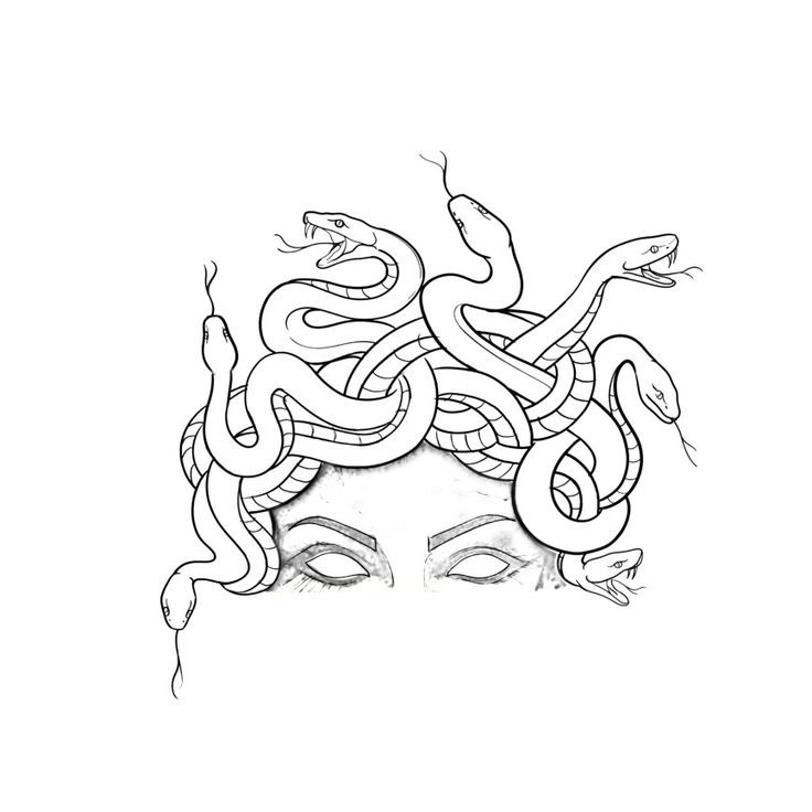 a drawing of a woman's face with snakes on her head