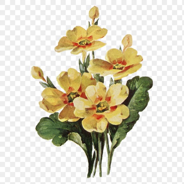 yellow flowers with green leaves on a white background png - flower clipart, transparent