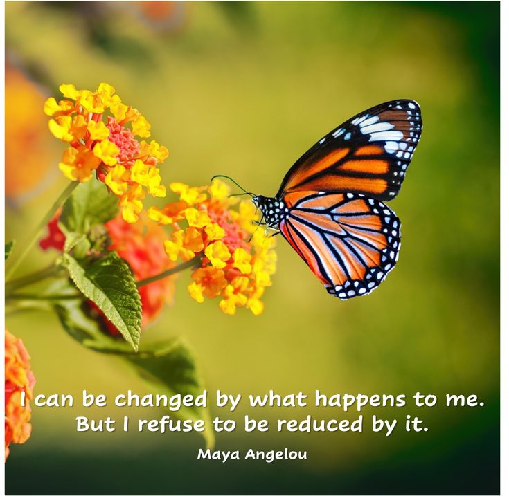 I can be changed by what happens to me.  But I refuse to be reduced by it.  Maya Angelou Team Building Activities, September 21, Maya Angelou, I Can