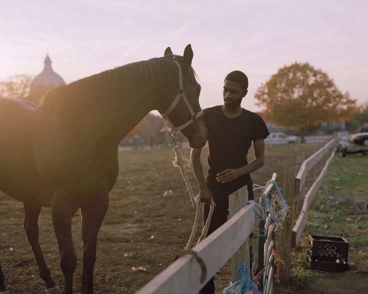 a man standing next to a brown horse on top of a lush green field at sunset