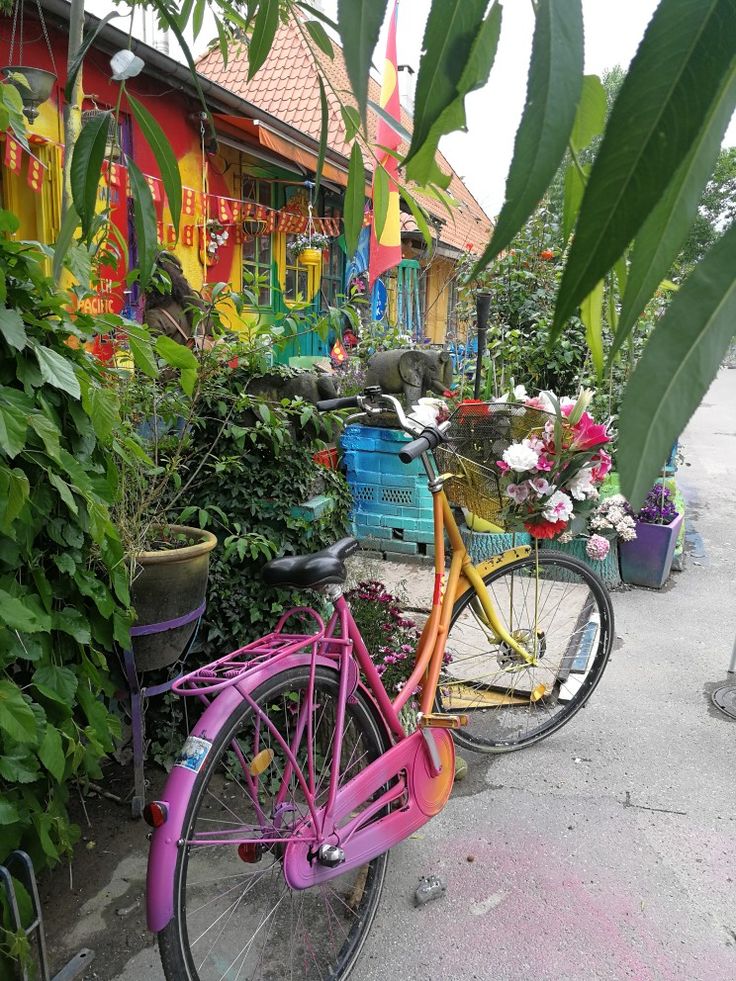 a pink bicycle is parked next to some plants and other things in front of a colorful building