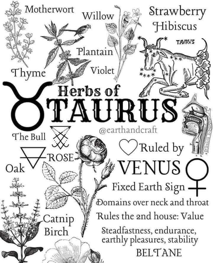 an image of the zodiac sign with flowers and other astrological symbols in black and white