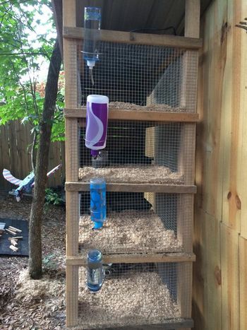 a wooden shelf with some water bottles on it and a bird cage in the background