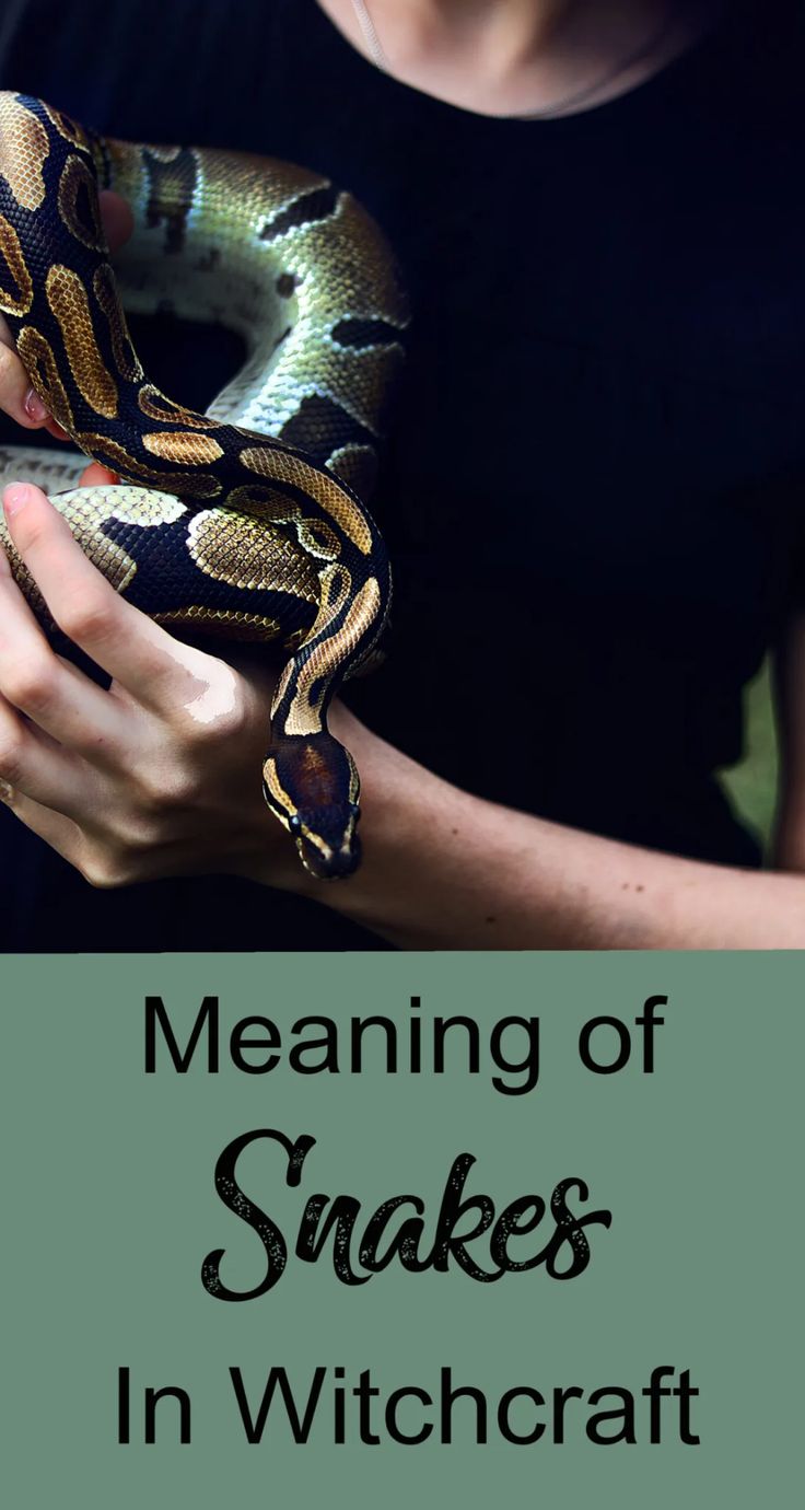 a woman holding a snake in her hands with the words meaning of snakes in witchcraft