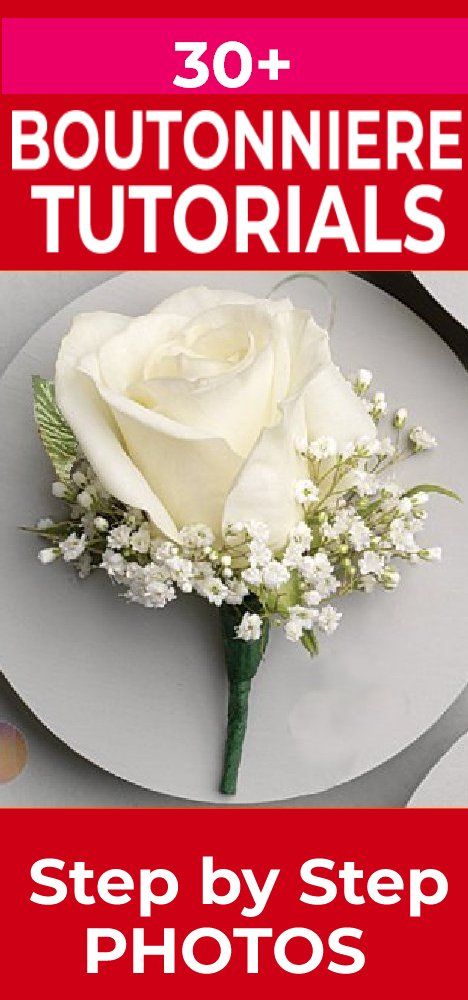 a white rose sitting on top of a plate with baby's breath in it