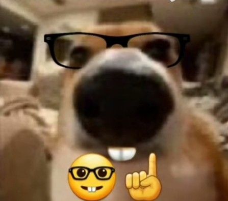 a dog wearing glasses and pointing at the camera with an emoticive expression on it's face