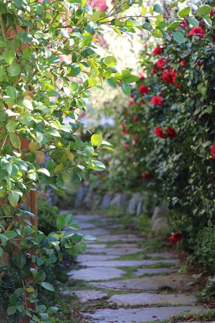 a stone path lined with red flowers and greenery