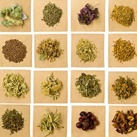 many different types of herbs arranged in squares