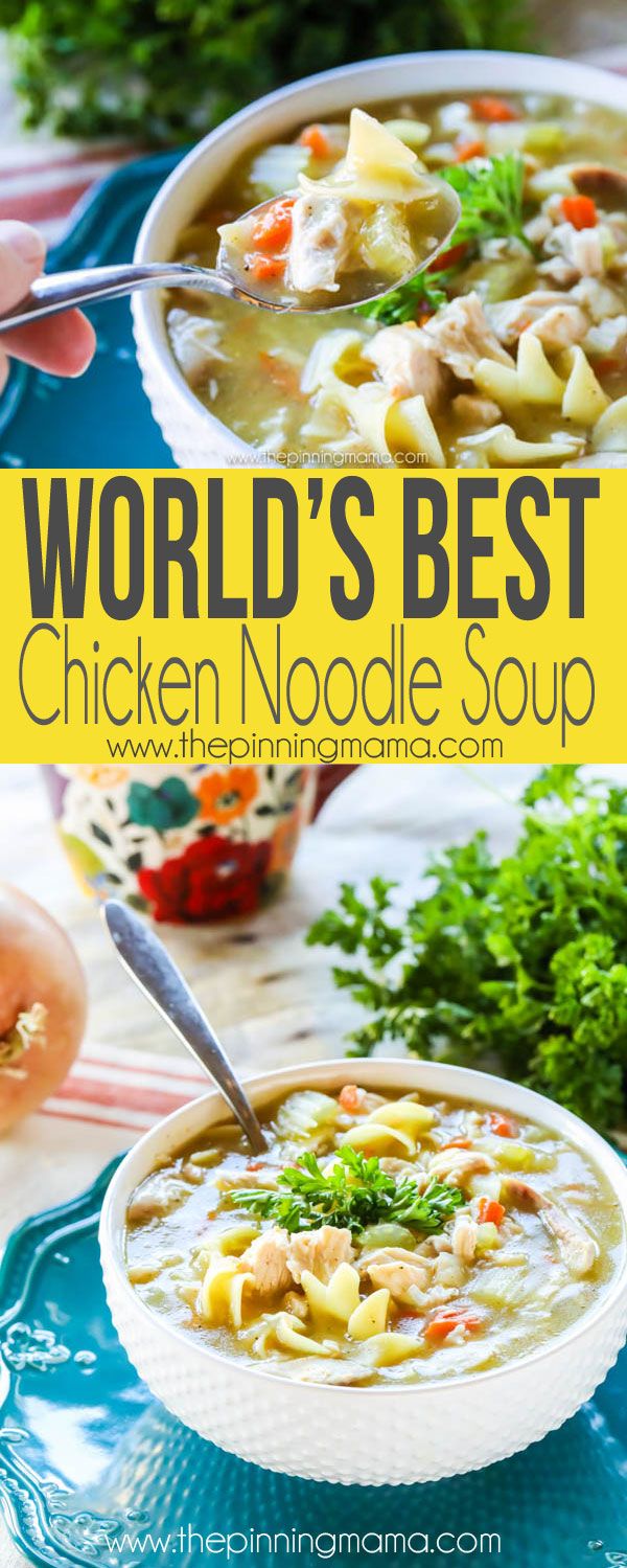 the world's best chicken noodle soup